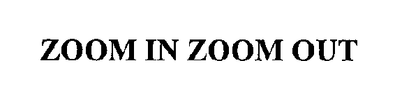 ZOOM IN ZOOM OUT