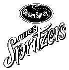 OCEAN SPRAY JUICE SPRITZERS