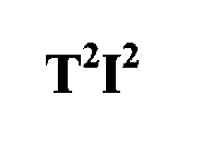 T2I2