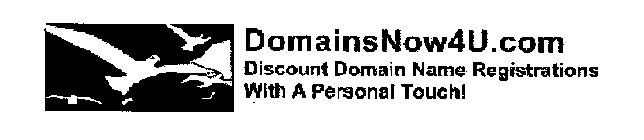 DOMAINSNOW4U.COM DISCOUNT DOMAIN NAME REGISTRATIONS WITH A PERSONAL TOUCH!
