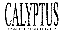 CALYPTUS CONSULTING GROUP