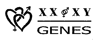 XX XY GENES