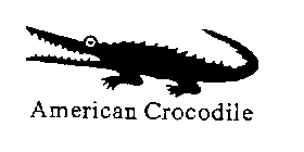 AMERICAN CROCODILE