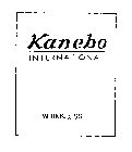 KANEBO INTERNATIONAL WRINKLESS