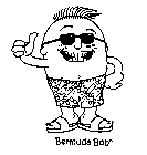 BERMUDA BOB