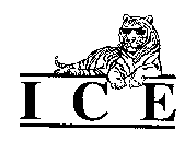 I C E