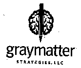 GRAYMATTER STRATEGIES