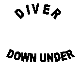 DIVER DOWN UNDER