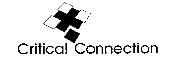 CRITICAL CONNECTION
