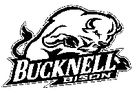 BUCKNELL BISON
