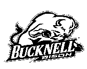 BUCKNELL BISON