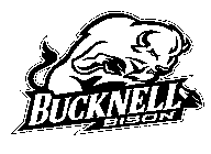 BUCKNELL BISON