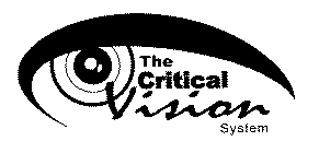 THE CRITICAL VISION SYSTEM