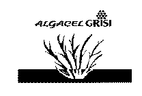 ALGACEL GRISI