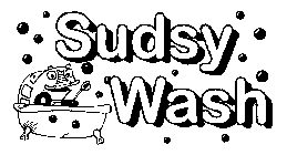 SUDSY WASH