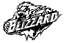 GREEN BAY BLIZZARD