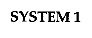 SYSTEM 1