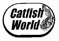 CATFISH WORLD