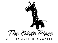 THE BIRTH PLACE AT SUMMERLIN HOSPITAL
