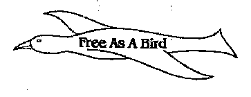 FREE AS A BIRD
