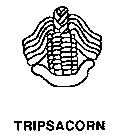 TRIPSACORN