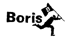 B BORIS