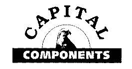 CAPITAL COMPONENTS