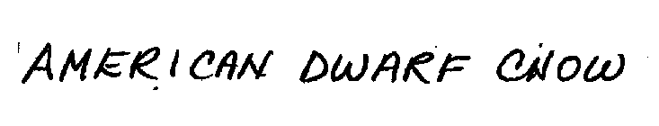 DWARF CHOW