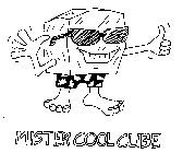MISTER COOL CUBE