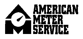 AM AMERICAN METER SERVICE