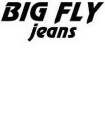 BIG FLY JEANS
