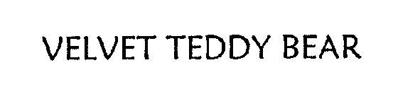 VELVET TEDDY BEAR
