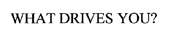 WHAT DRIVES YOU?
