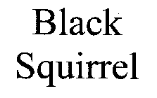 BLACK SQUIRREL