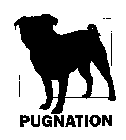 PUGNATION