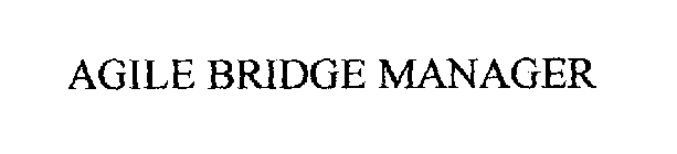 AGILE BRIDGE MANAGER