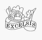 EXCELSIS