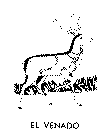 EL VENADO