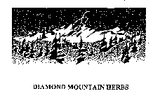 DIAMOND MOUNTAIN HERBS