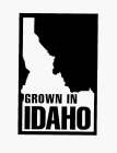 GROWN IN IDAHO