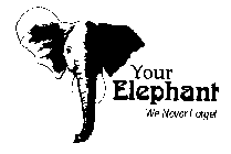 YOUR ELEPHANT WE NEVER FORGET