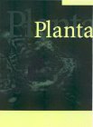 PLANTA