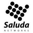 SALUDA NETWORKS, INC.