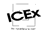 ICEX THE LAYOUT DYNAMIC TEAM