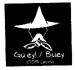 GÜEY! / BUEY 100% LATINO