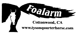 FOALARM COTTONWOOD, CA WWW.TYSONQUARTERHORSE.COM