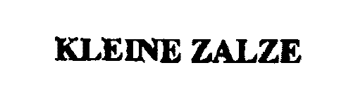KLEINE ZALZE