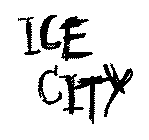 ICE CITY