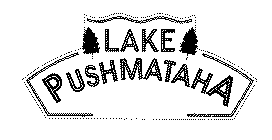 LAKE PUSHMATAHA