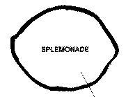 SPLEMONADE